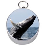 HUMPBACK 2 Silver Compasses