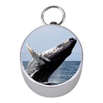 HUMPBACK 2 Mini Silver Compasses