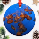 JELLYFISH AQUARIUM Ornament (Round) Front