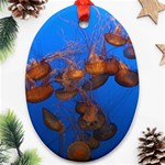 JELLYFISH AQUARIUM Ornament (Oval)