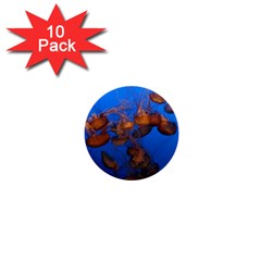 Jellyfish Aquarium 1  Mini Buttons (10 Pack)  by trendistuff