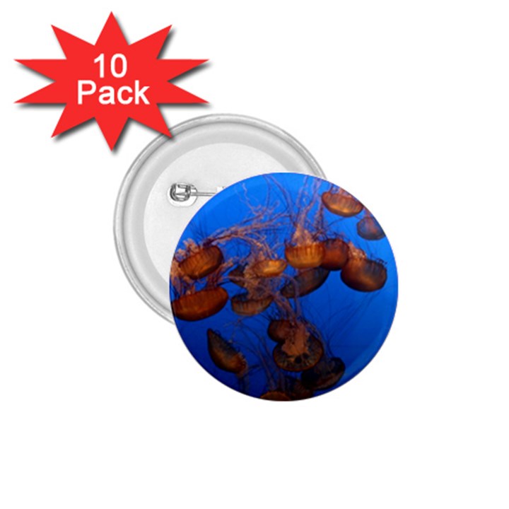 JELLYFISH AQUARIUM 1.75  Buttons (10 pack)