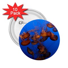 Jellyfish Aquarium 2 25  Buttons (10 Pack)  by trendistuff