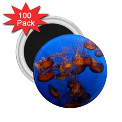 Jellyfish Aquarium 2 25  Magnets (100 Pack)  by trendistuff