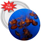 JELLYFISH AQUARIUM 3  Buttons (10 pack) 