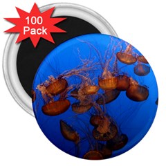 Jellyfish Aquarium 3  Magnets (100 Pack) by trendistuff