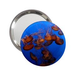 Jellyfish Aquarium 2 25  Handbag Mirrors by trendistuff