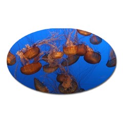 Jellyfish Aquarium Oval Magnet by trendistuff