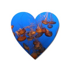 Jellyfish Aquarium Heart Magnet by trendistuff