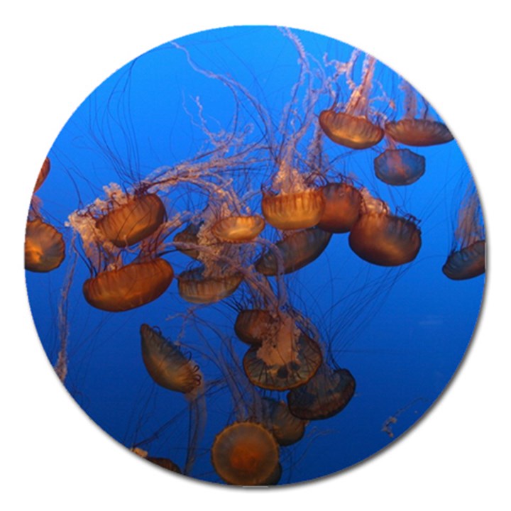 JELLYFISH AQUARIUM Magnet 5  (Round)