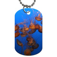 Jellyfish Aquarium Dog Tag (two Sides) by trendistuff