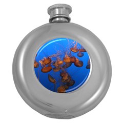 Jellyfish Aquarium Round Hip Flask (5 Oz) by trendistuff