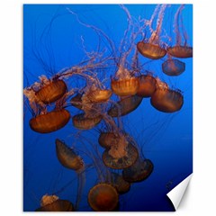 Jellyfish Aquarium Canvas 16  X 20   by trendistuff