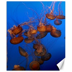 Jellyfish Aquarium Canvas 20  X 24   by trendistuff