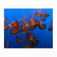 Jellyfish Aquarium Small Glasses Cloth (2-side) by trendistuff