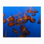 JELLYFISH AQUARIUM Small Glasses Cloth (2-Side) Back