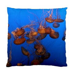 Jellyfish Aquarium Standard Cushion Case (two Sides) by trendistuff