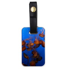 Jellyfish Aquarium Luggage Tags (one Side)  by trendistuff