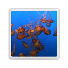 Jellyfish Aquarium Memory Card Reader (square)  by trendistuff