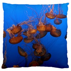 Jellyfish Aquarium Large Cushion Case (two Sides) by trendistuff