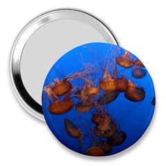 Jellyfish Aquarium 3  Handbag Mirrors by trendistuff