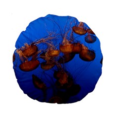 Jellyfish Aquarium Standard 15  Premium Round Cushions by trendistuff