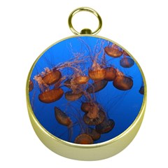 Jellyfish Aquarium Gold Compasses by trendistuff