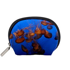 Jellyfish Aquarium Accessory Pouches (small) 