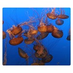 JELLYFISH AQUARIUM Double Sided Flano Blanket (Small)  50 x40  Blanket Front