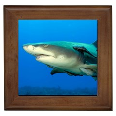 Lemon Shark Framed Tiles by trendistuff