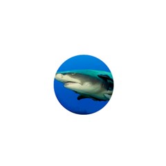 Lemon Shark 1  Mini Buttons by trendistuff