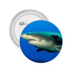 Lemon Shark 2 25  Buttons by trendistuff