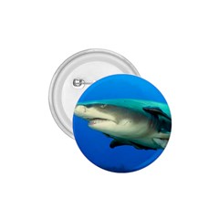 Lemon Shark 1 75  Buttons by trendistuff