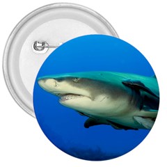 Lemon Shark 3  Buttons by trendistuff