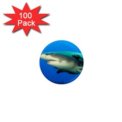 Lemon Shark 1  Mini Magnets (100 Pack)  by trendistuff