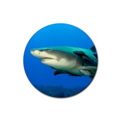 Lemon Shark Rubber Coaster (round)  by trendistuff