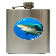 Lemon Shark Hip Flask (6 Oz) by trendistuff