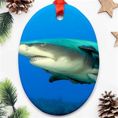 Lemon Shark Oval Ornament (two Sides) by trendistuff