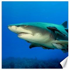 Lemon Shark Canvas 16  X 16   by trendistuff