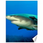 LEMON SHARK Canvas 36  x 48   35.26 x46.15  Canvas - 1