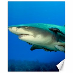 Lemon Shark Canvas 11  X 14   by trendistuff