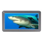 LEMON SHARK Memory Card Reader (Mini) Front