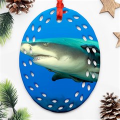 Lemon Shark Ornament (oval Filigree) by trendistuff