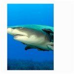 LEMON SHARK Large Garden Flag (Two Sides) Front