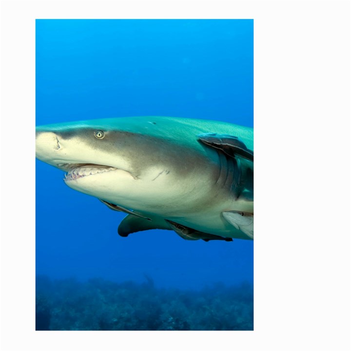 LEMON SHARK Large Garden Flag (Two Sides)