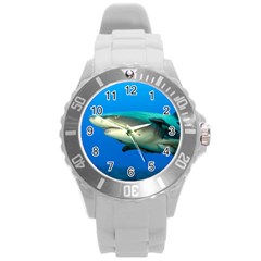 Lemon Shark Round Plastic Sport Watch (l) by trendistuff