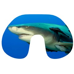 Lemon Shark Travel Neck Pillows by trendistuff