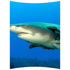 Lemon Shark Back Support Cushion