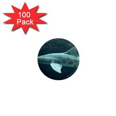 LEOPARD SHARK 1  Mini Magnets (100 pack) 