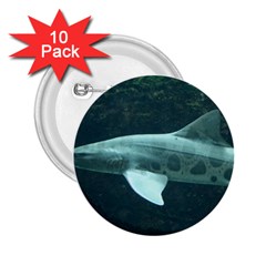 Leopard Shark 2 25  Buttons (10 Pack)  by trendistuff